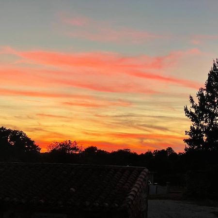 Maison Hirondelles Hotes Mezieres-sur-Issoire Eksteriør bilde